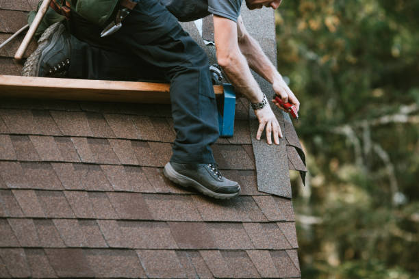 Roof Gutter Cleaning in Bright, IN